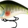 13 Fishing Jabber Jaw Hybrid Squarebill Crankbait -13 Fishing 13 fishing jabber jaw hybrid squarebill crankbait 99919.1651361443