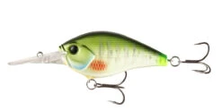 13 Fishing Cliff Banger Medium-Deep Diving Crankbait 33 13 Fishing Cliff Banger Medium-Deep Diving Crankbait -13 Fishing 32254099685465