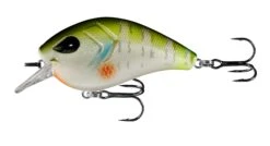 13 Fishing Flatty Daddy 2 1/2 Inch Flat-Sided Squarebill Crankbait -13 Fishing 39255574184025