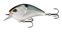 13 Fishing Flatty Daddy 2 1/2 Inch Flat-Sided Squarebill Crankbait -13 Fishing 39255574282329