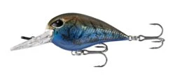 13 Fishing Gordito 2 Inch Medium Diving Crankbait -13 Fishing 39332617879641