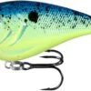 13 Fishing Warthog Squarebill Crankbait -13 Fishing W60 4 31
