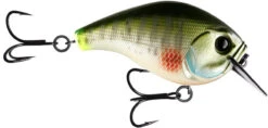 13 Fishing Scamp 1.5/2.5 Squarebill Crankbait -13 Fishing flipDream Gill