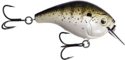 13 Fishing Scamp 1.5/2.5 Squarebill Crankbait -13 Fishing flipLouisiana Frog Cakes