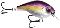 13 Fishing Scamp 1.5/2.5 Squarebill Crankbait -13 Fishing flipPurple Nurple