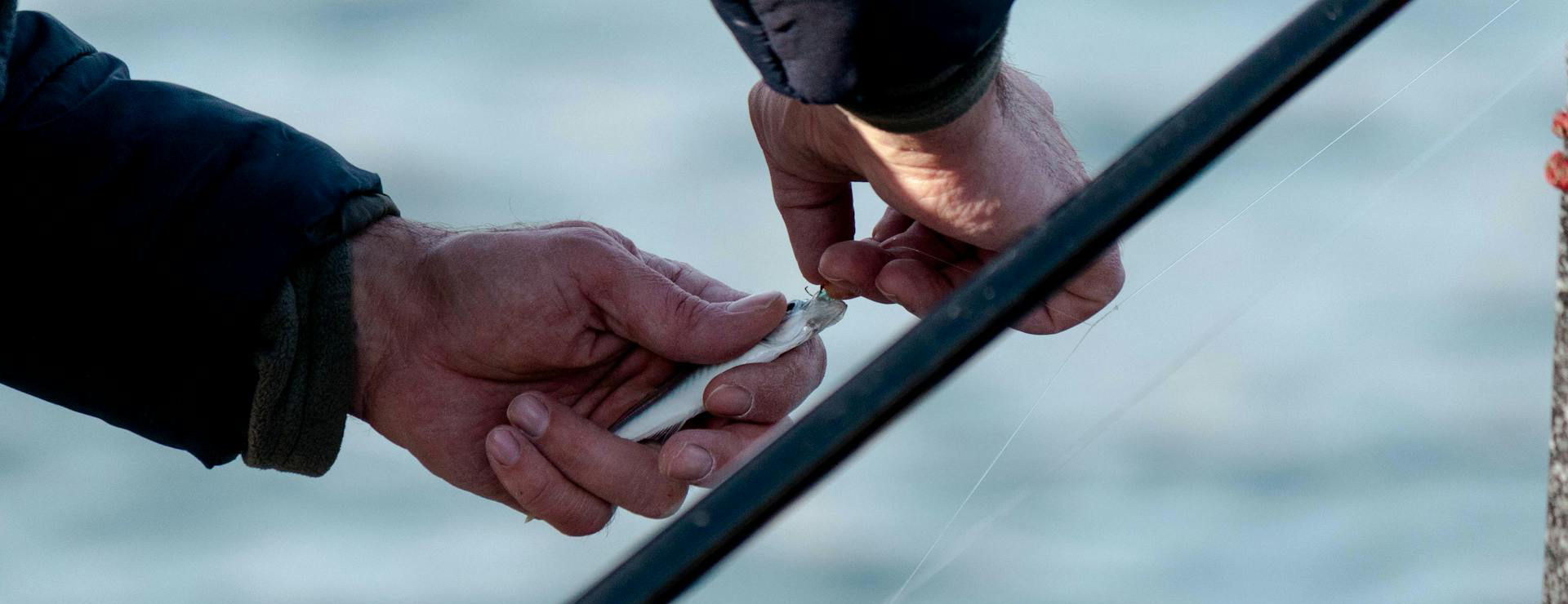 Front Page 4 Front Page -13 Fishing pexels photo 15543256